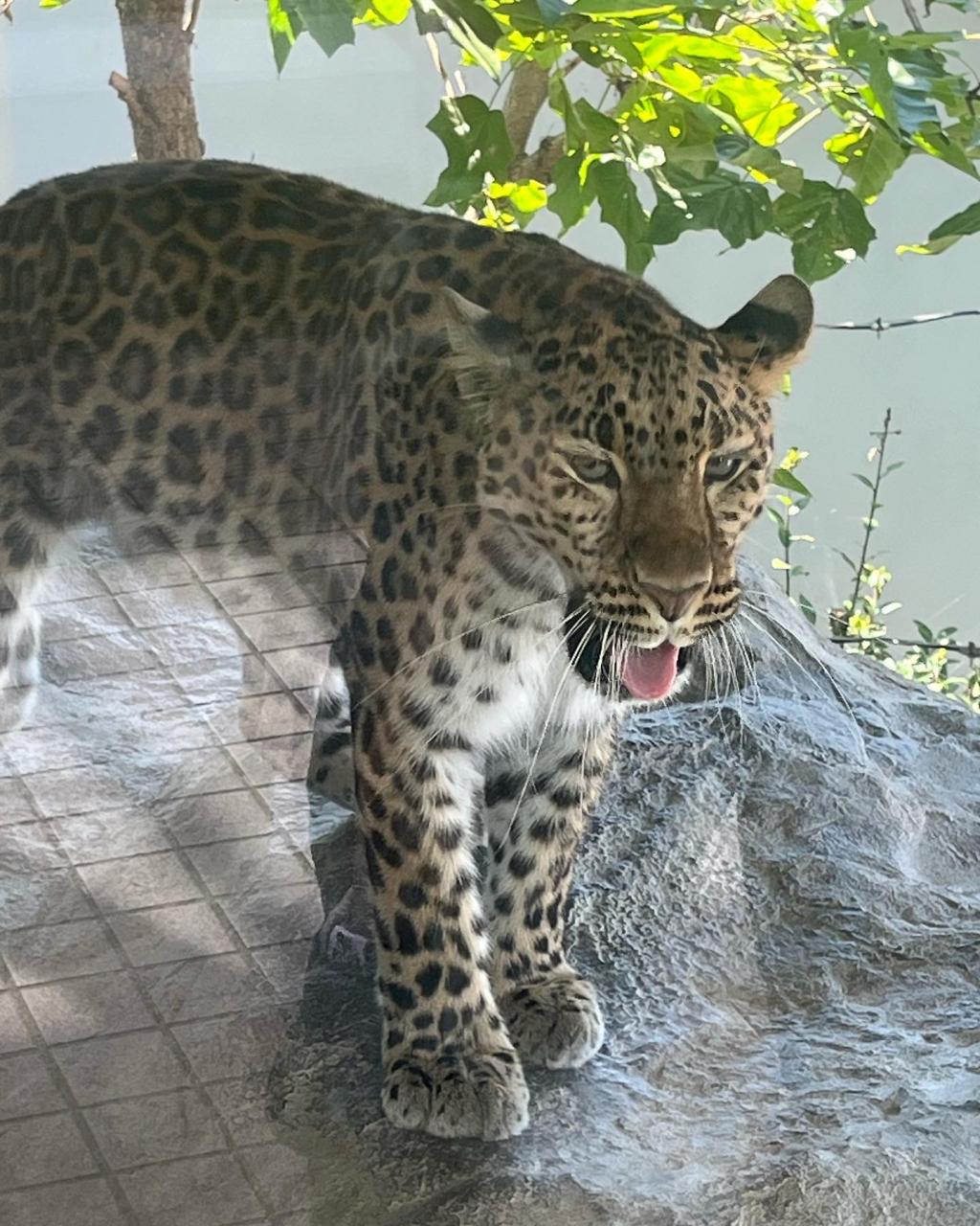 動物園に行ってきました